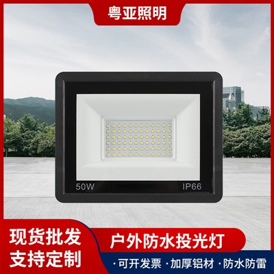 Outdoor Light